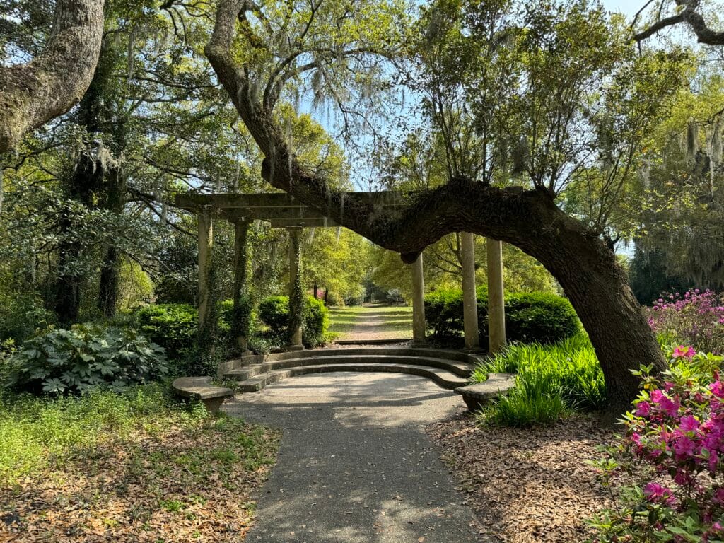 Injured in or around Harry P. Leu Gardens? We can help!