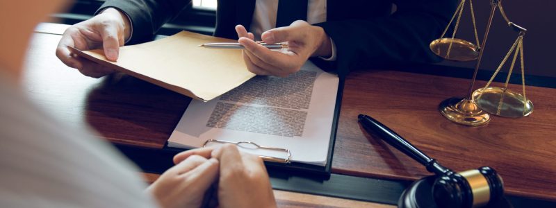 Florida dog bite law guide for victims